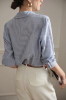 Blue Striped Silk Shirt